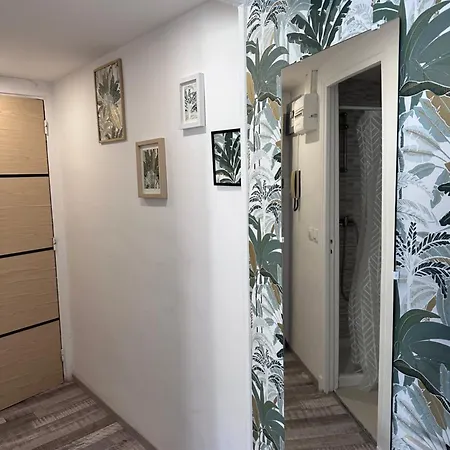 Cocon Elegance アパート